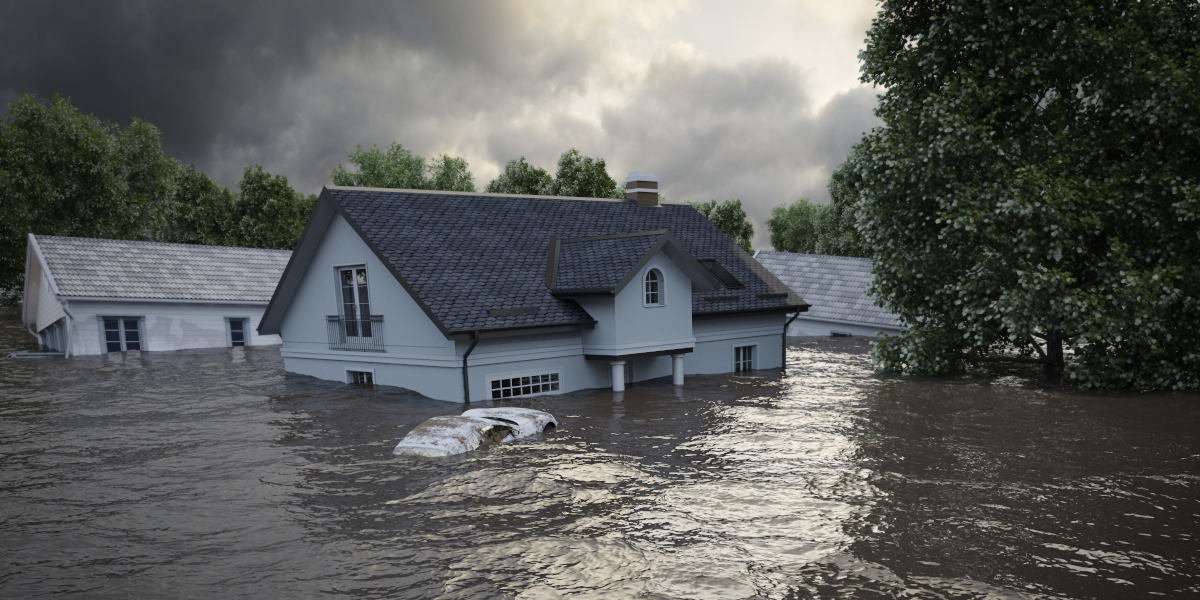 versicherungsmeldung.de